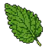 Ageratum