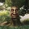 Superior Trees