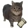 OO EE A E A Fabric