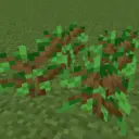 Wiwi's Mega Trees