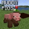 Muddy Pigs