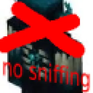 No Sniffing