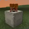 MrShulker
