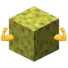 OPSponges