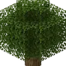 DumpedCarpetAddition