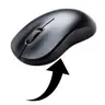 Ungrab Mouse