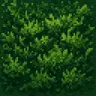 Moss Addon