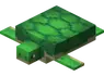 Turtle Soup