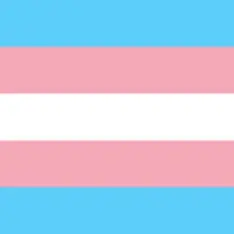 Trans Mod