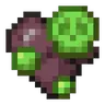 Plague