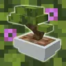 Aetheric Roots