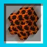 MS_Meteorites