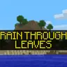 Rain Through Leaves