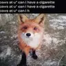 Can I Have A Cigarette?
