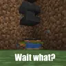 Wait What?