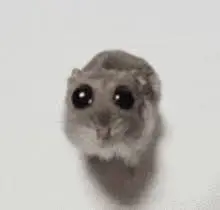 Silly rat - little fun rat