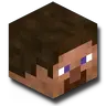 WindowPlayerHead