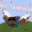 flipWings
