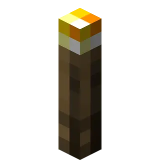 Protorch