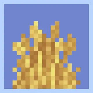Wild Wheat