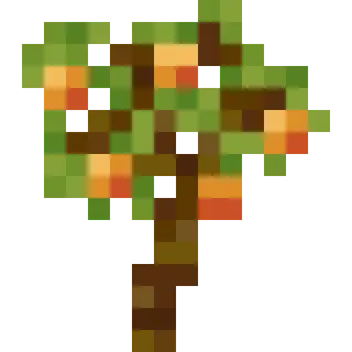 Fruit Trees