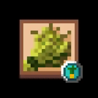Reign: Suffering Farming