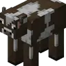 Cowcoal