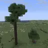 Vanilla Trees