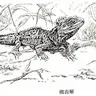 SauriaLib