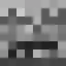 Histoskins