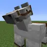Honse