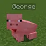 PigFriend+