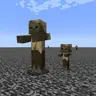 Types And Variants
