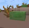 Super Slime