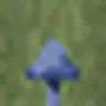 Eritakhe