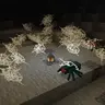 Spider Webber