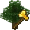 TreeCap