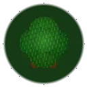 Succession
