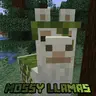 Mossy Llamas