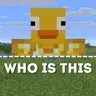 WHO IS THIS – Anti Invisibility