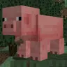 Truffle Pigs