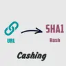 Remember Url Hashes
