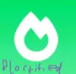 Sodium Blockified
