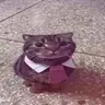 Fixed Shields