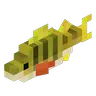 Borukva Fish