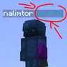 Donut SMP Money tagger