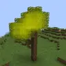 Selected Block Highlighter