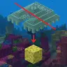 Natural Sponge