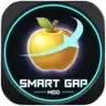 Smart Gap