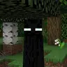 Beta Enderman